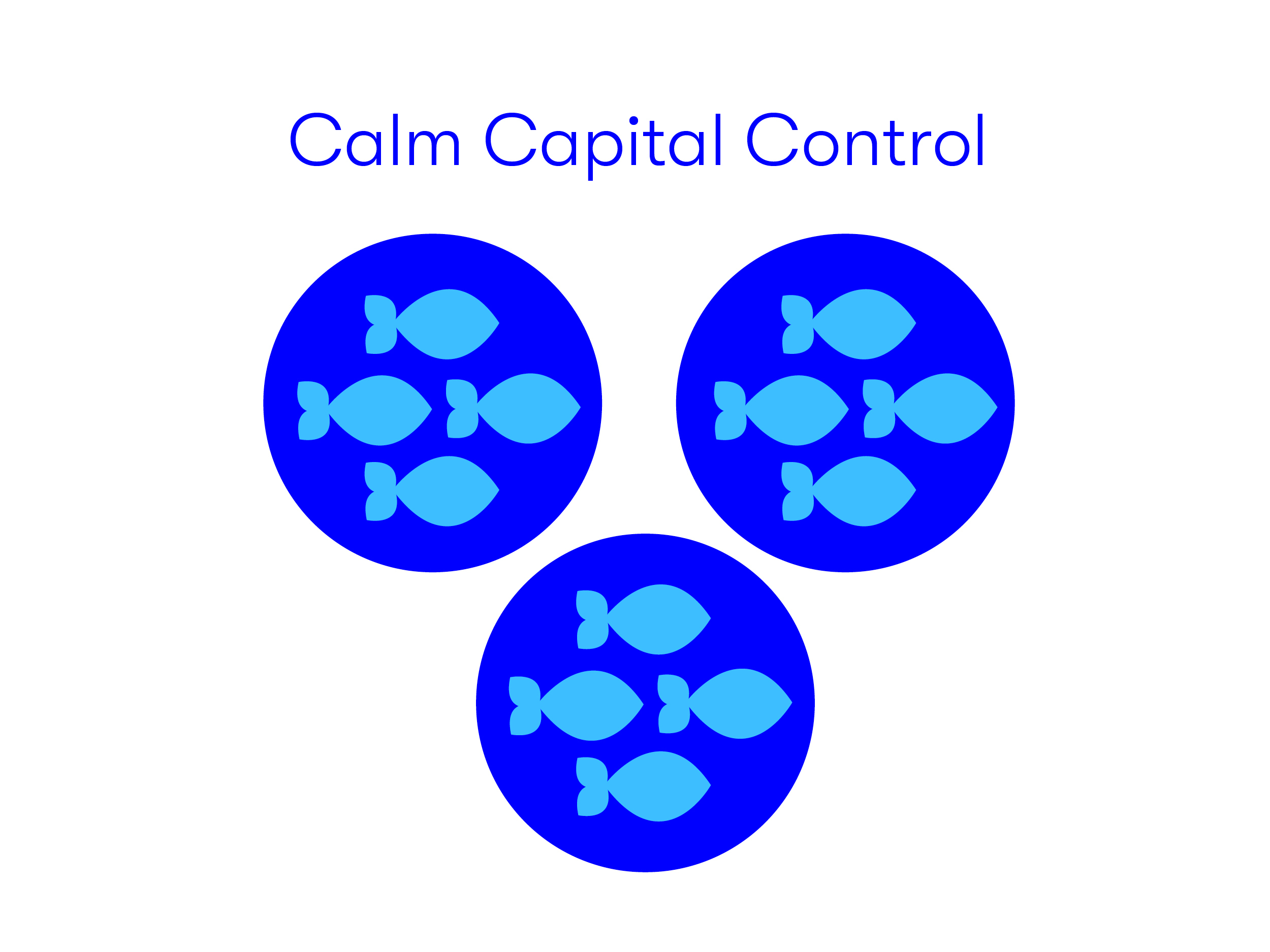 Calm Capital Control